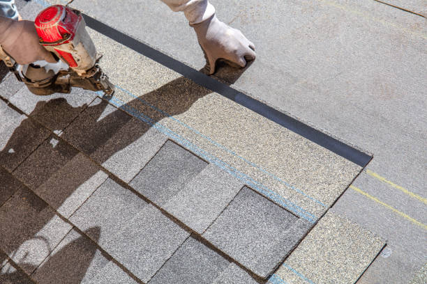 Best Roof Gutter Cleaning  in Sconsin Dells, WI